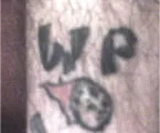 WP