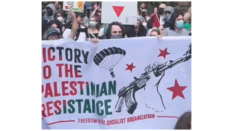 Paraglider imagery